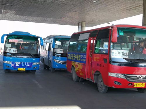 公共汽车多少立方